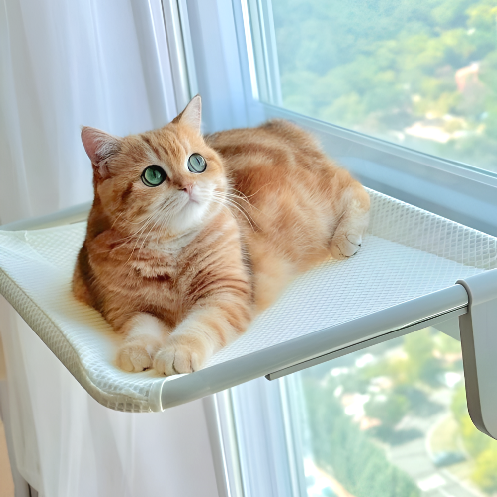 오르펫 고양이 창문 해먹 캣타워 창틀 선반 침대 23,400원