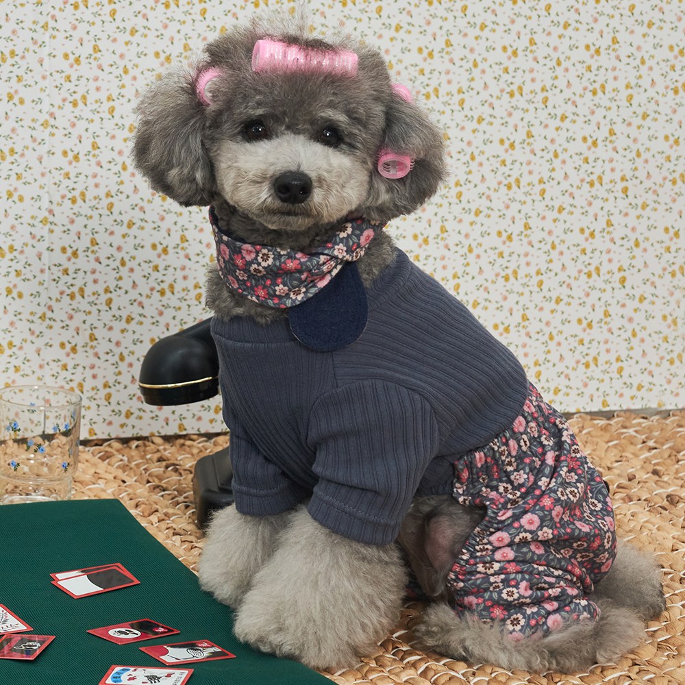 베일리펫 강아지옷 김장조끼 스카프 올인원 전원일기 몸빼 세트 19,900원