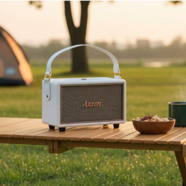 Axxen BS1000 클래식레더 무선블루투스 고음질 스피커 40W 168,700원