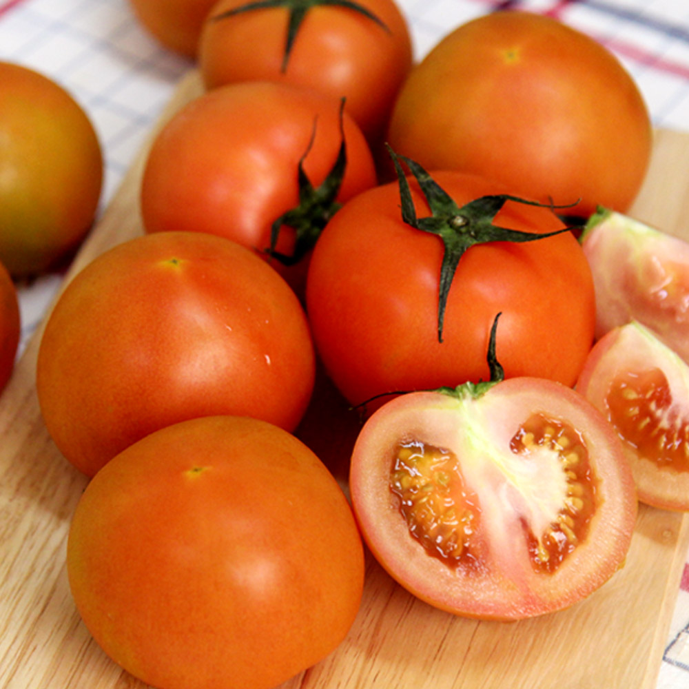 소담촌 찰 토마토 3kg 건강한 신선과일 22,950원