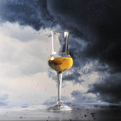 드람 이탈리아 그라빠 싱글몰트 노징 위스키 테이스팅잔 80ml, 1개 7,700원