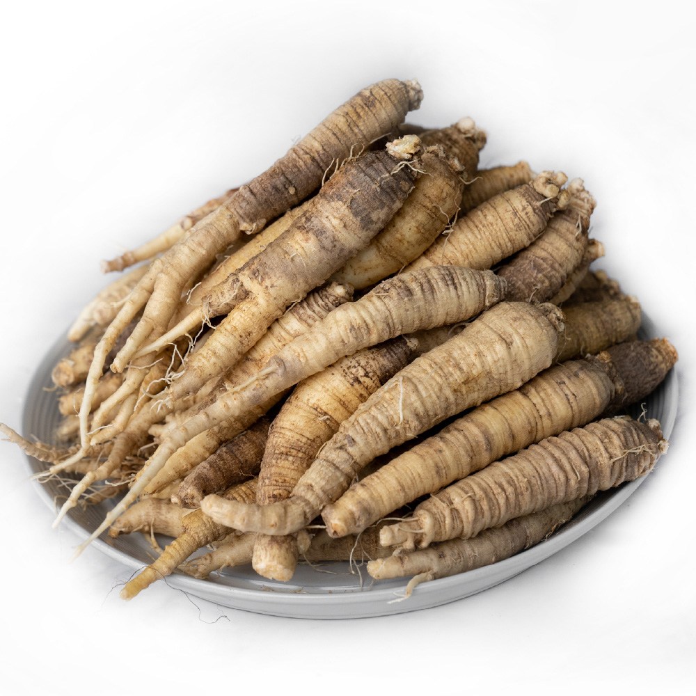 [비비x푸드] 사이즈 - 소짜 신선한 생 더덕 16,900원