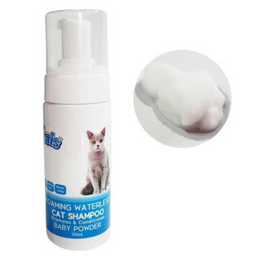 더캣츠 고양이 거품샴푸 베이비파우더향 12,600원