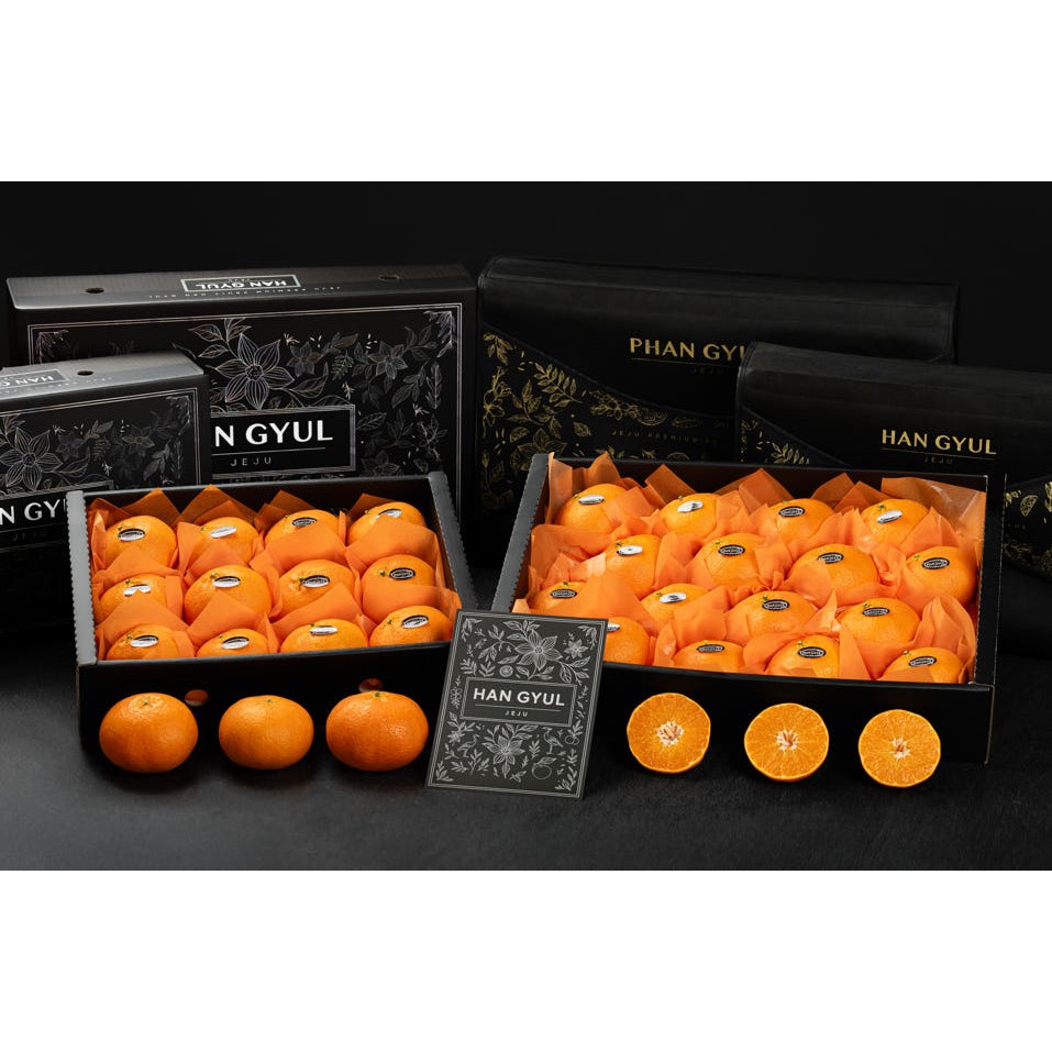 제주한귤 제철 고당도 레드향 한라봉 3kg 5kg 혼합 프리미엄 선물세트 49,900원