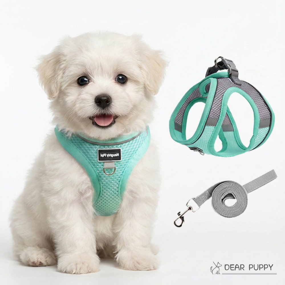 디어퍼피 쿨매쉬 강아지 고양이 겸용 하네스 + 리드줄 세트, 민트브리즈 6,400원
