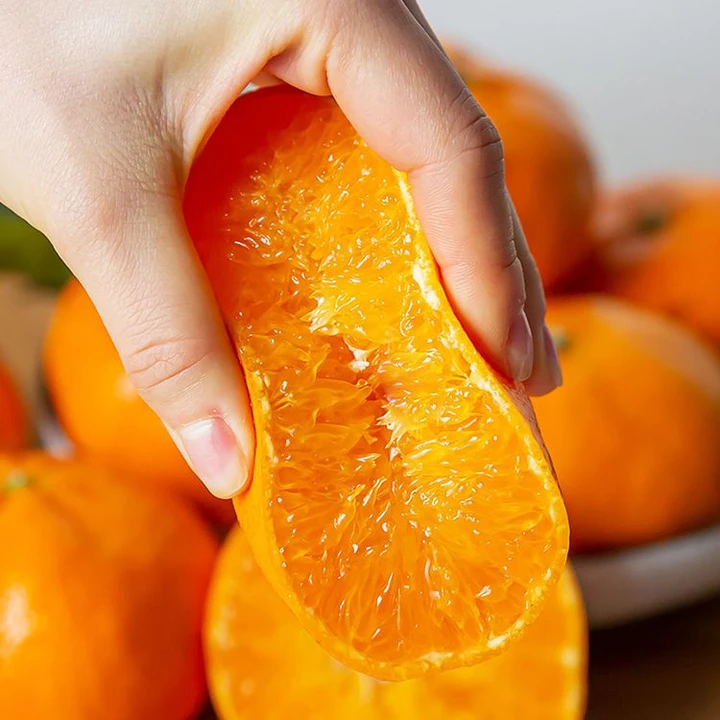 [재구매1위] 100박스한정 벌꿀맛 제주 한라봉, 1개, 10kg 39,800원