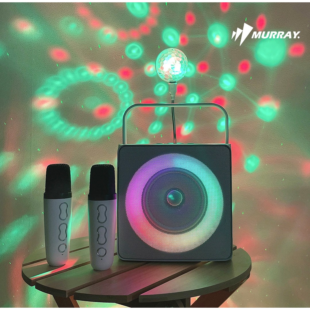 가정용 휴대용 레인보우 LED 블루투스 듀얼마이크 스피커 노래방기계, 퓨어화이트 69,000원