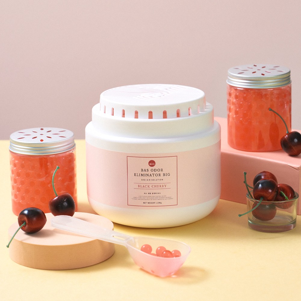BAS 특대형 실내 탈 취제 빅 (3가지향)_소분용기 포함 28,900원