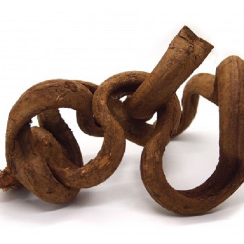 덩쿨유목 1개 랜덤(중/20-25cm) / 수초꾸미기 수초디스플레이 자연유목 잔뿌리 8,000원