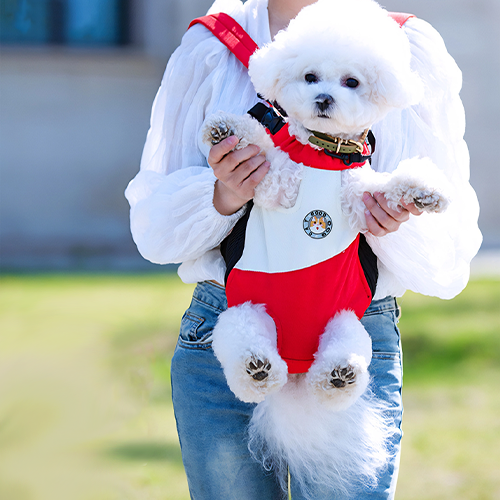 LX1329 손이 자주가는 귀엽고 가벼운 애견 애묘 강아지 외출가방 13,800원