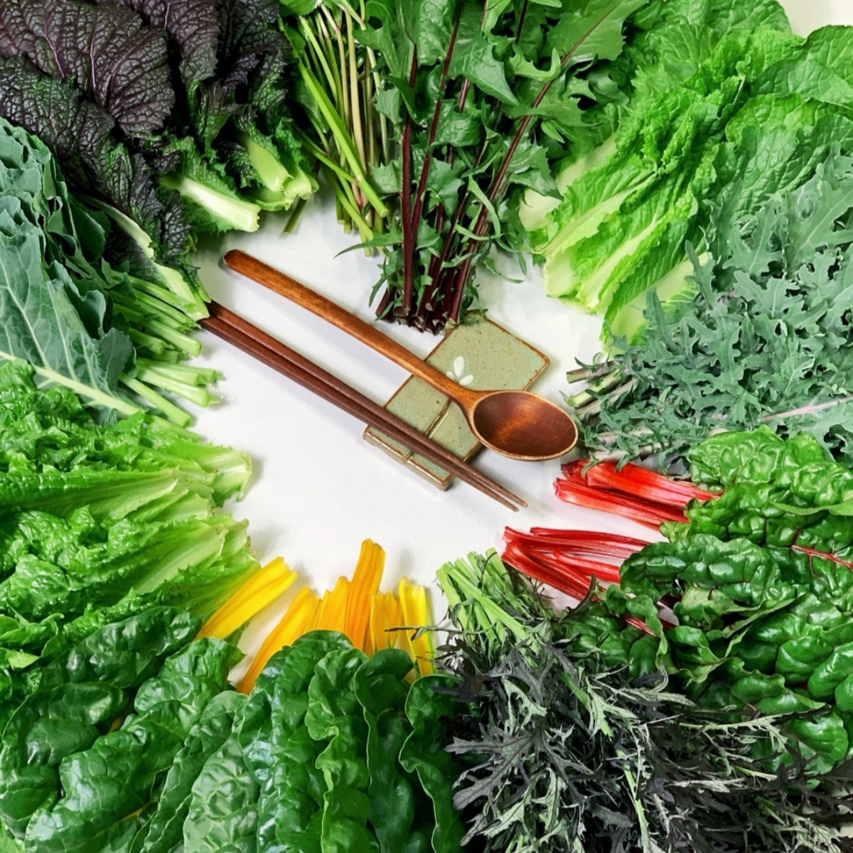 GAP] 쌈채소 15종이상 모듬샐러드 모듬쌈채소 특수야채 로메인 당귀 생채 케일 쌈배추 치커리 샐러리 겨자 600g, 1kg, 1kg, 1박스 12,900원