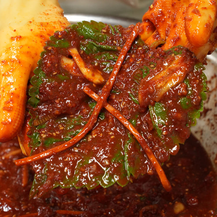 국내생산 당일제조 국내산 깻잎 밥반찬 주안이네 깻잎김치 16,800원