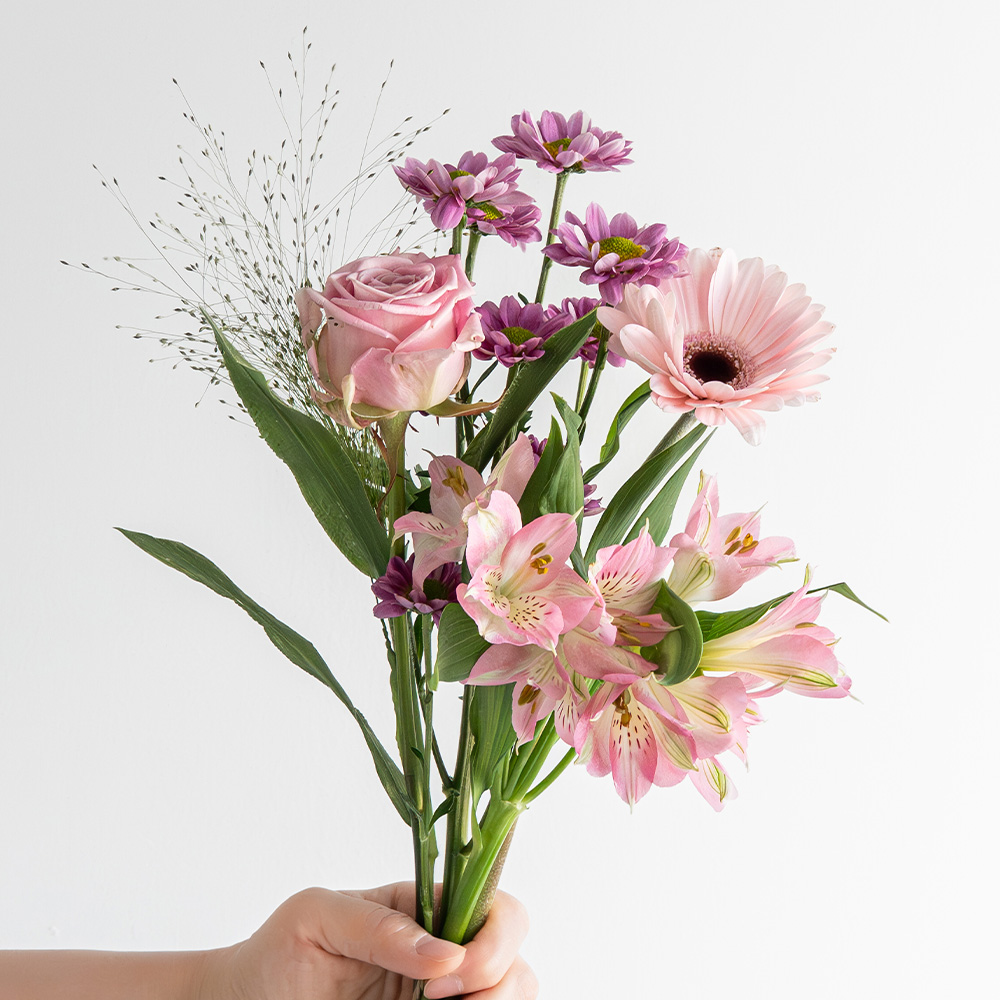 [로켓프레시] 코코도르팜 생화 절화, 핑크 믹스 16,800원