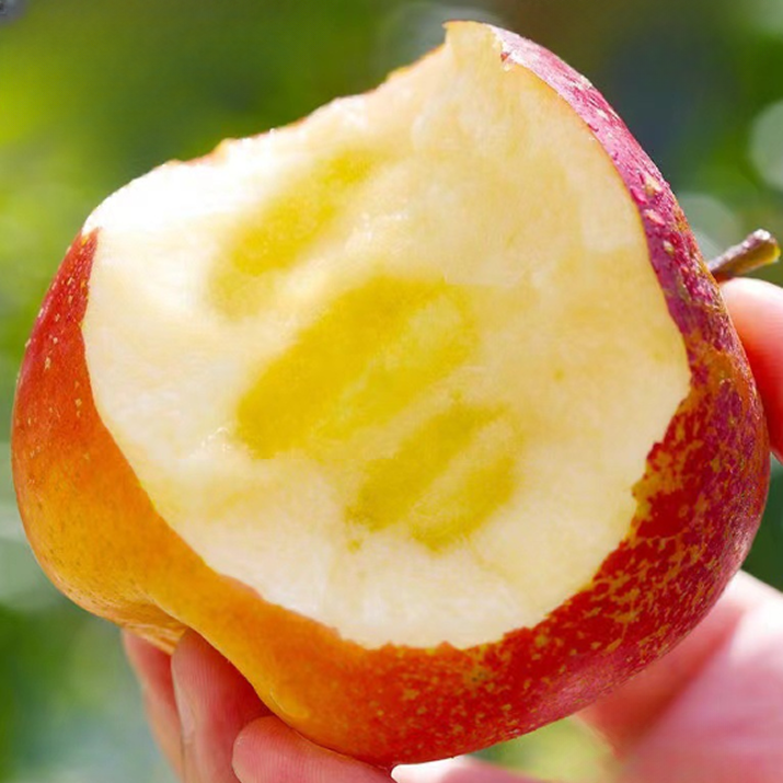 [설기념반값할인] 딱5일특가 꿀흐르는 꿀당도 부사사과 19,600원