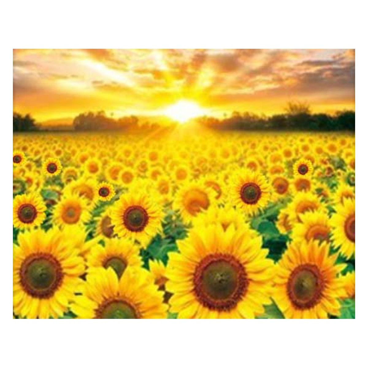 MJS 보석십자수 50 x 40 cm 캔버스형 세트 DIY 16,890원