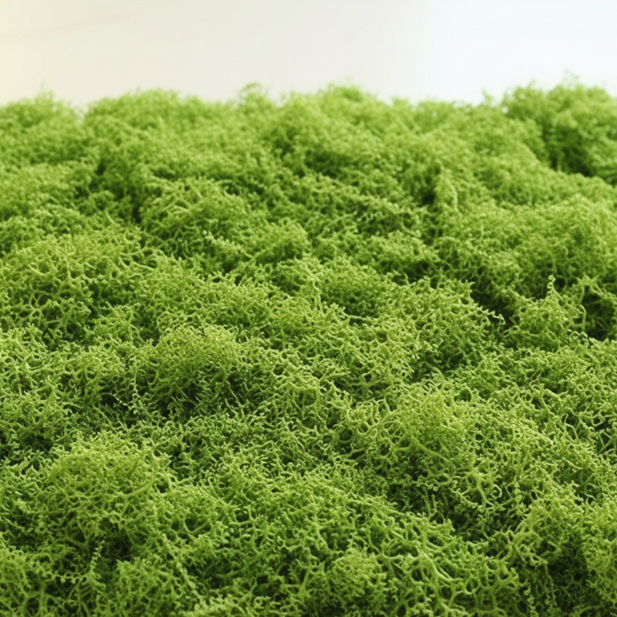 인조 조화이끼 인테리어 조경 나무, 1개, 밝은그린 100g 7,990원