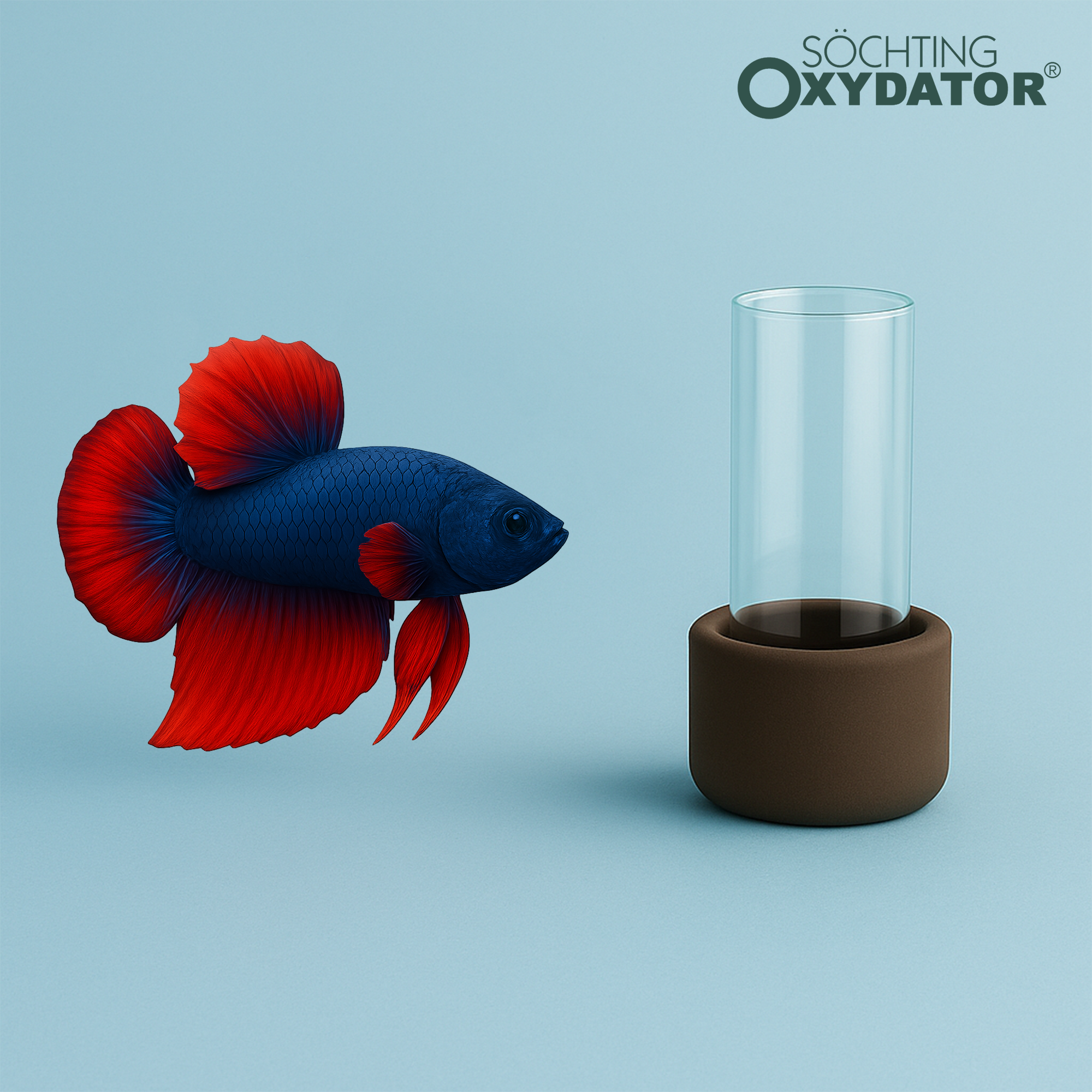 어항 산소공급기 무소음 무전력 산소발생기 구피 베타 새우 수초 소흐팅 옥시데이터 MINI, 1개 49,000원