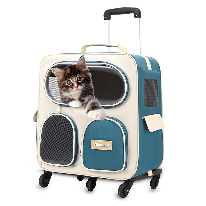 반려동물 이동식 백팩 캐리어 4륜 반려견 캐리어 고양이 강아지 이동가방 이동장 고양이이동장 강아지캐리어가방 고양이캐리어가방 49,800원