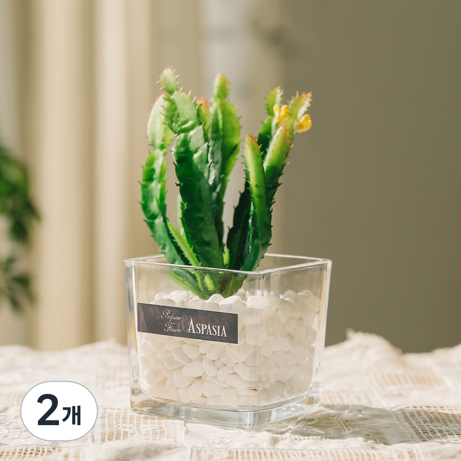 아스파시아 그린테라피 선인장 아로마 스톤 디퓨저 오일 39,600원