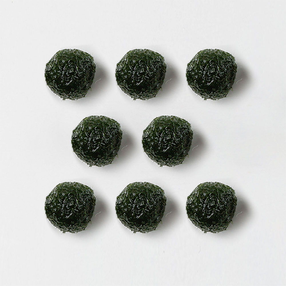 미니가든 마리모 단품 M (단품x8개) 44,100원