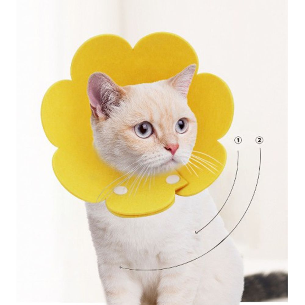 모이픽 강아지 고양이 넥카라 목보호대 목쿠션 1+1 11,400원