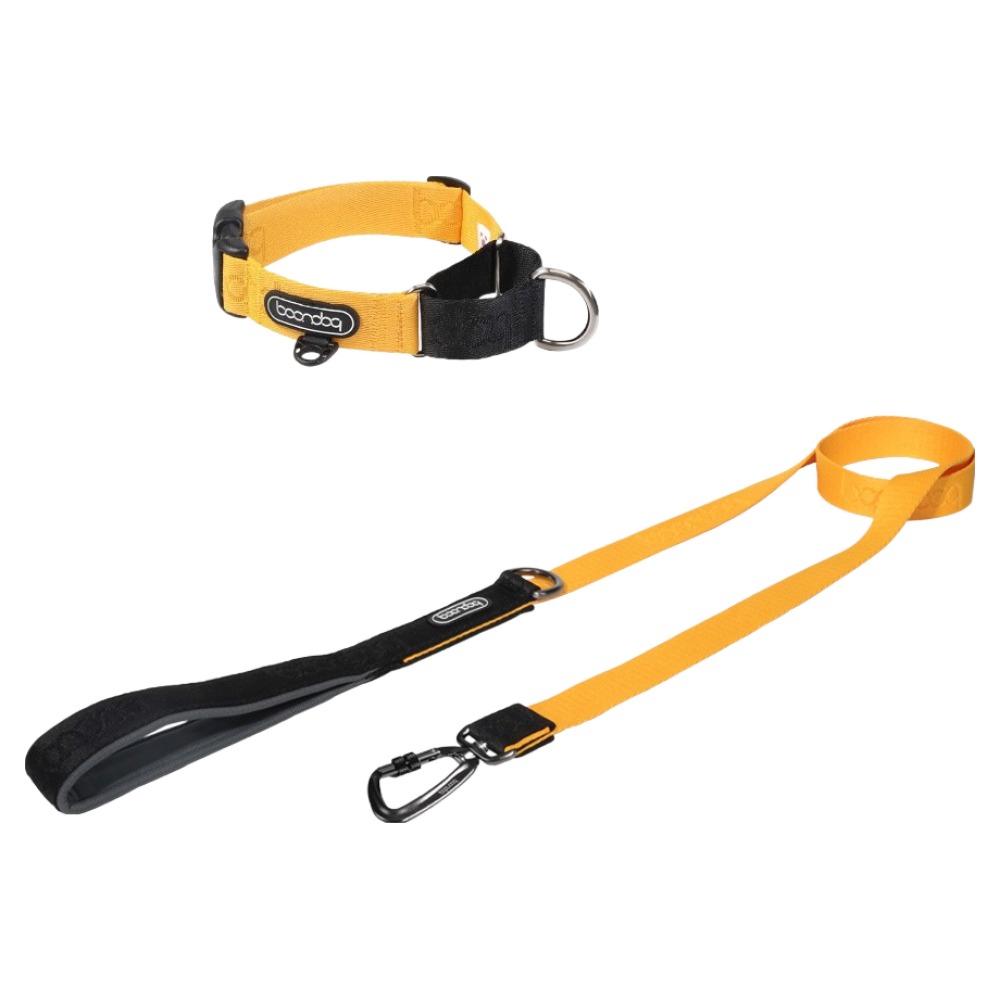 분독 강아지 카라비너 오리지널 리쉬 1.4m + 마틴게일 목줄 세트 68,000원