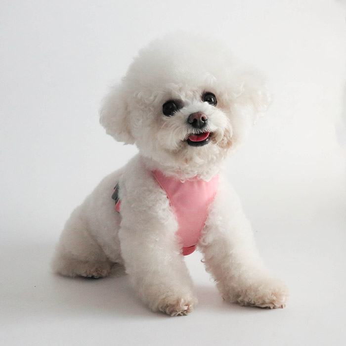 딩동펫 강아지 마카롱 통풍 메쉬 하네스 7,410원