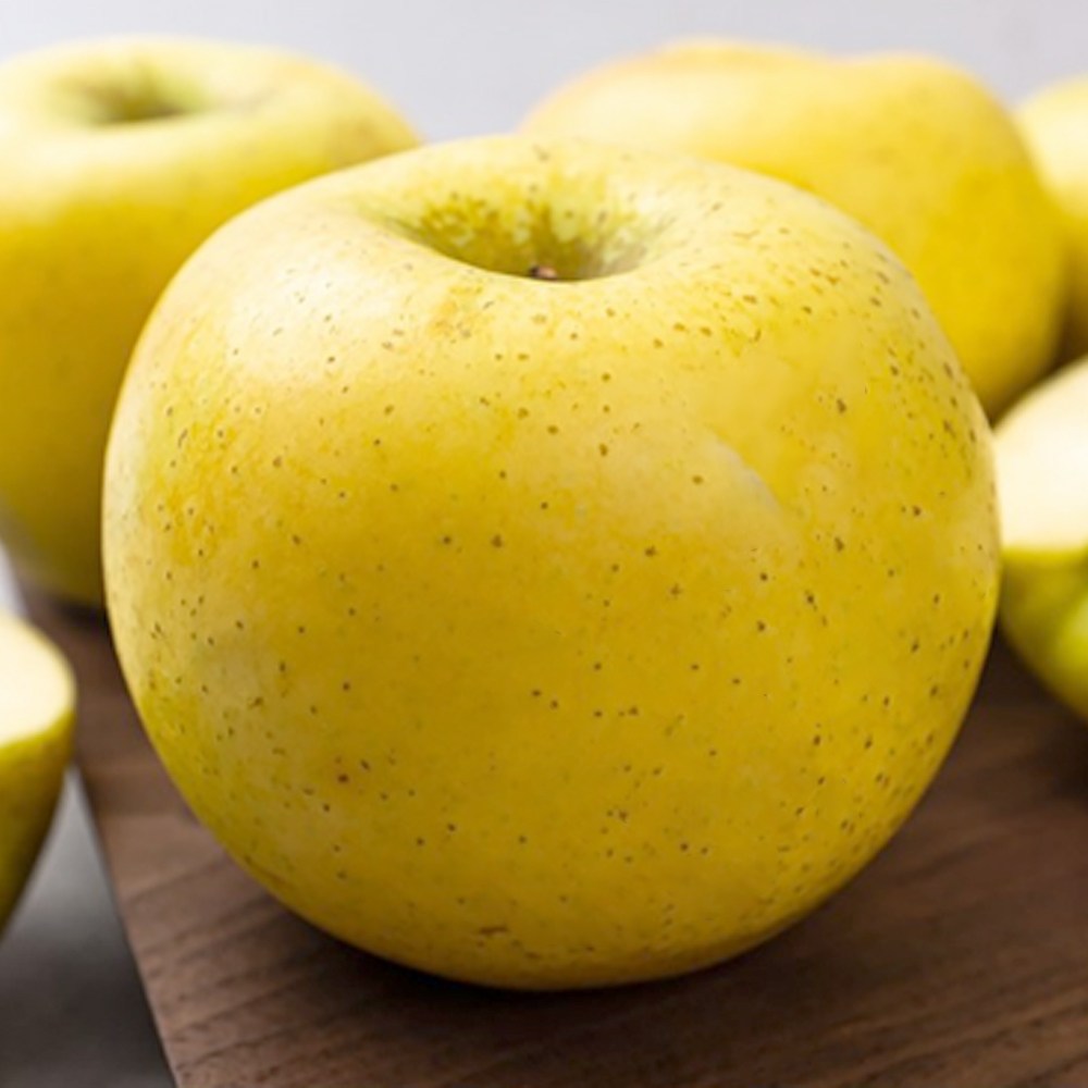 [황금사과] 농수산 경북 달콤 아삭한 꿀 시나노골드 사과 17,700원