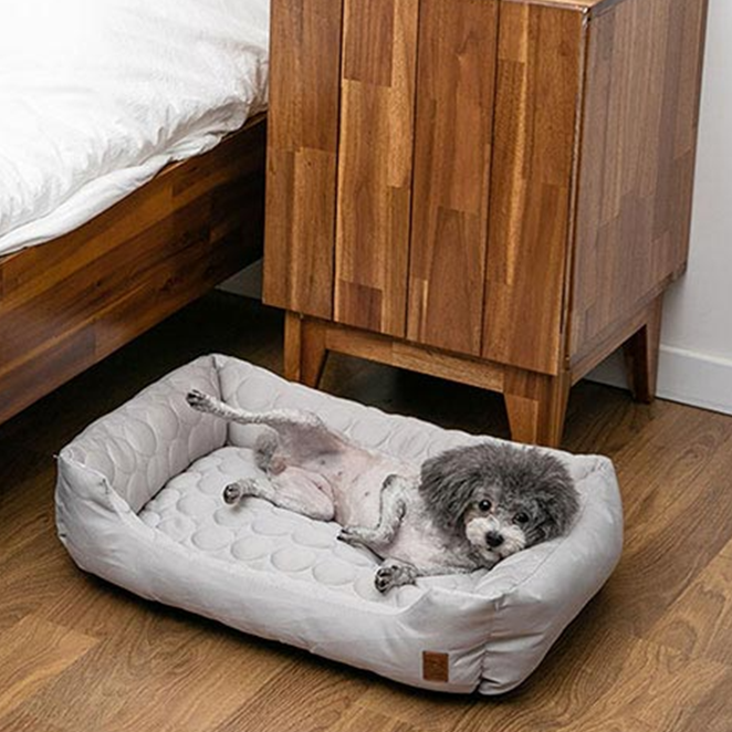 딩동펫 아이스 쿨링 방석 17,160원