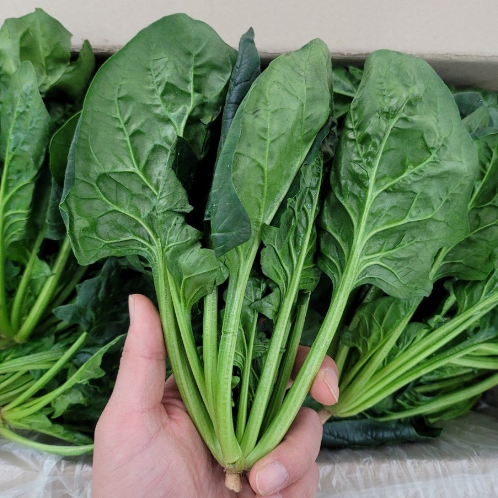 맛통령 국내산 시금치 7,990원