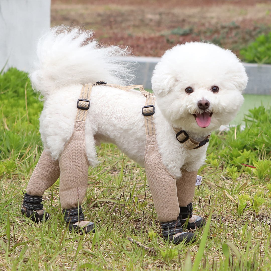 유앤펫 강아지 신발 벗겨지지 않는 논오프 일체형 메쉬 신발(봄&여름용) 중형견 대형견용, 1개, 베이지 39,800원