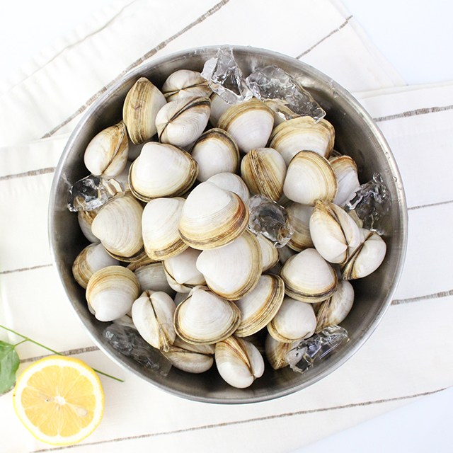 해감발송 서해안 동죽(물총조개) 1kg/2kg 8,500원