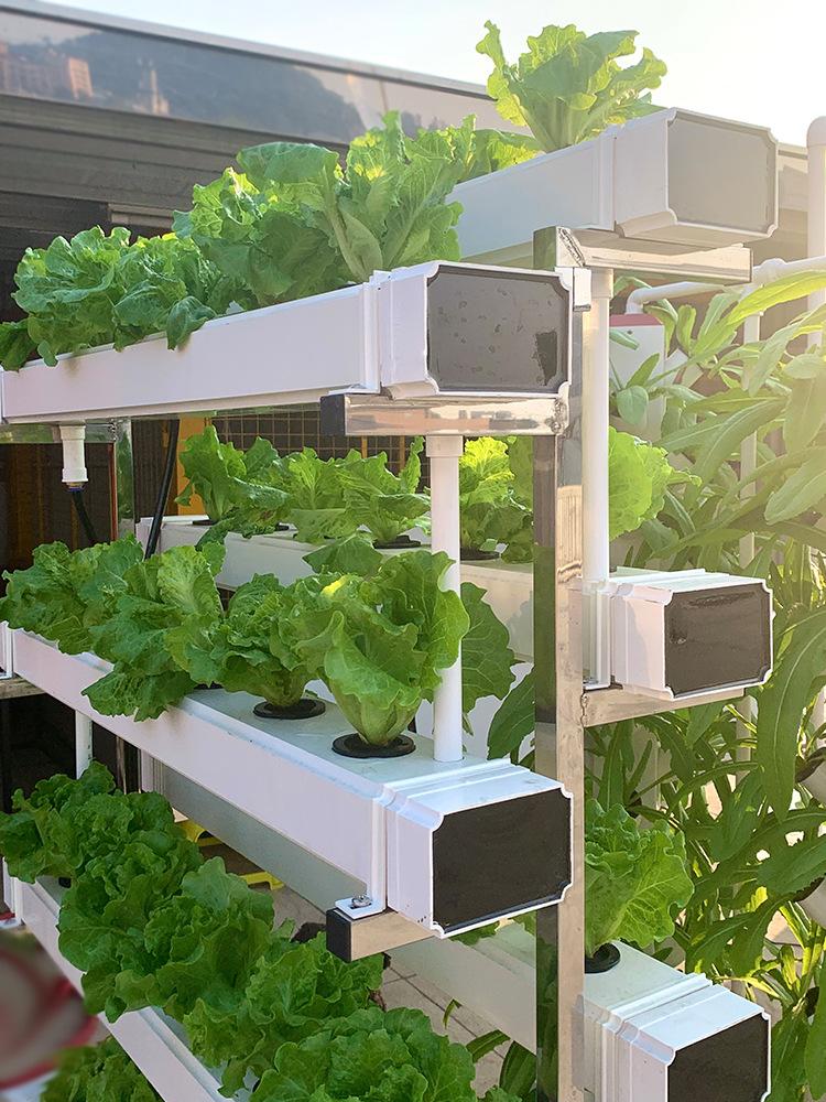 상추키우기 가정용스마트팜 수경재배식물 야외 실내 74,100원