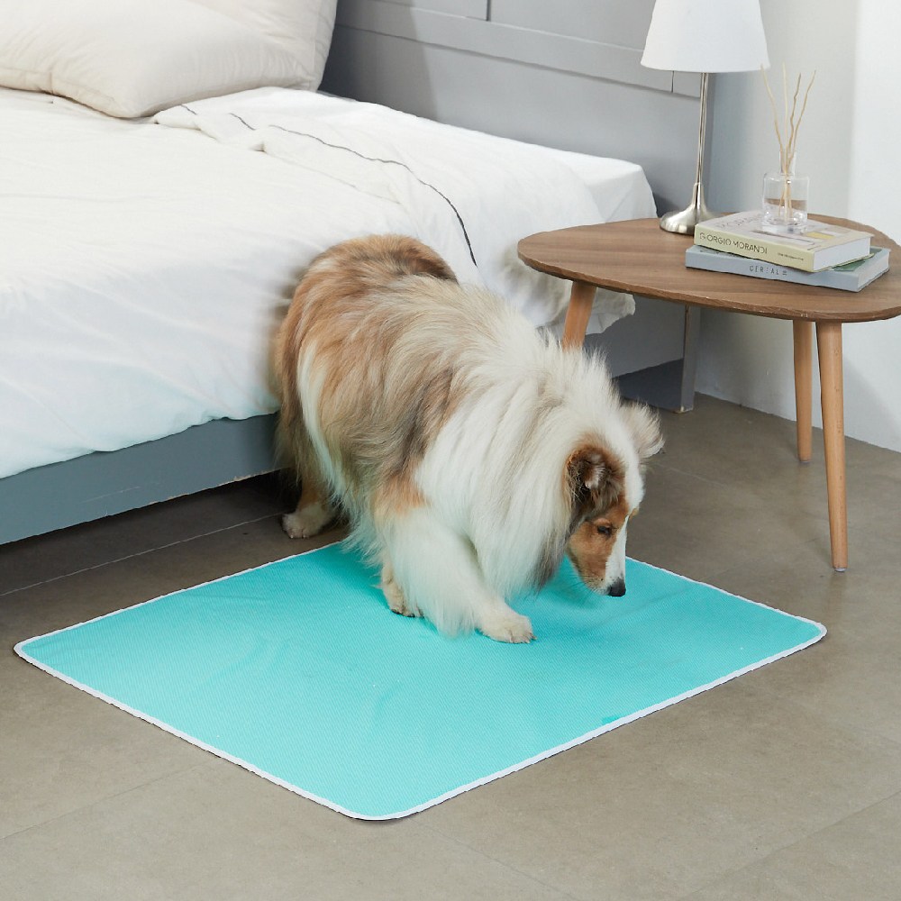 루플리 에코패드 (대형 L ) 강아지 빨아쓰는 배변패드 친환경 배변매트 88,900원