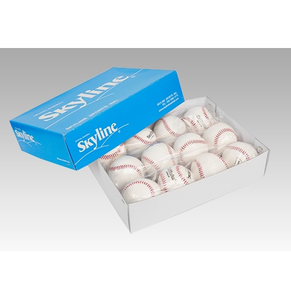 스카이라인 싸인 야구공 43,000원
