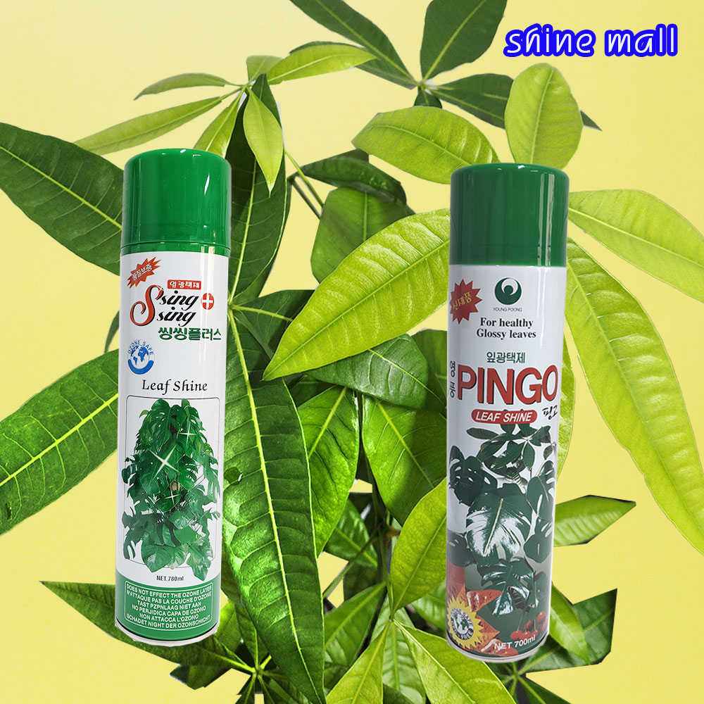 국내산 잎광택제 스프레이 (씽씽플러스/핑고)1개선택 무료배송/수분증발 억제 10,610원