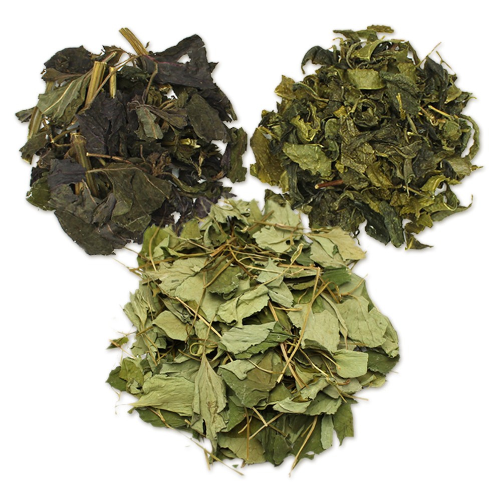 자연초 국산 어성초 200g+국산녹차100g+국산자소엽100g 14,900원