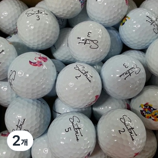 이지골프존 빅야드,세인트나인,고커,팬텀 로스트볼 30알세트, 세인트나인 흰볼 A급, 2개, 30개입 49,500원