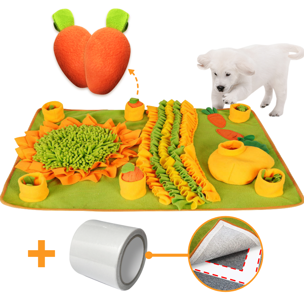 페티풀 당근농부 강아지 노즈워크 간식놀이 매트 대형 + 카펫트 고정 테이프 세트 17,150원