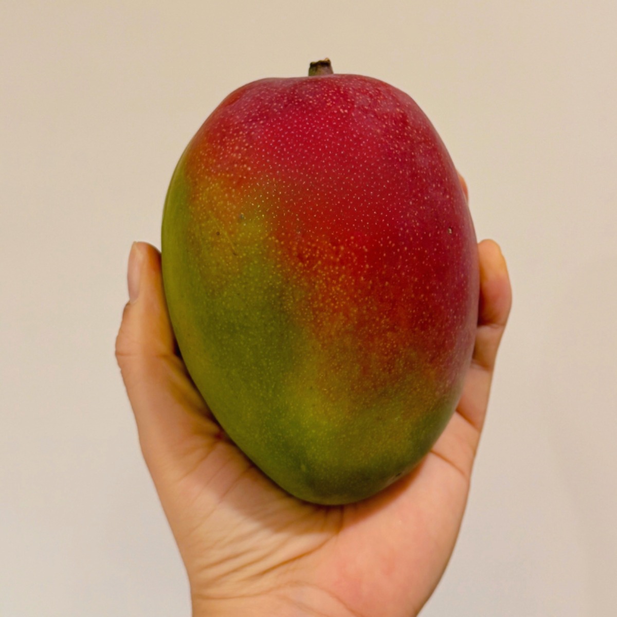 페루산 고당도 프리미엄 애플망고 생과, 1박스, 애플망고 프리미엄 4kg 52,000원