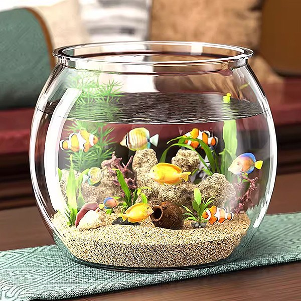 어항 용기 유리볼 유리병 이끼 테라리움 만들기 재료 화분꾸미기 마리모 어항 장식 바다꾸미기, 현재가 7,800원