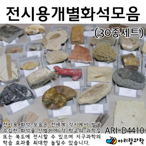 화석-전시용개별화석모음 30종세트 3,228,320원