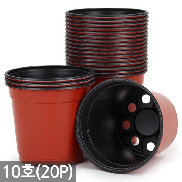 세인화분 국산 이색포트 모종화분 20P - 화분 연질분 포트 모종 육묘 다육 다육이 연질화분 플라스틱 국내산 비닐 갈색 5,800원