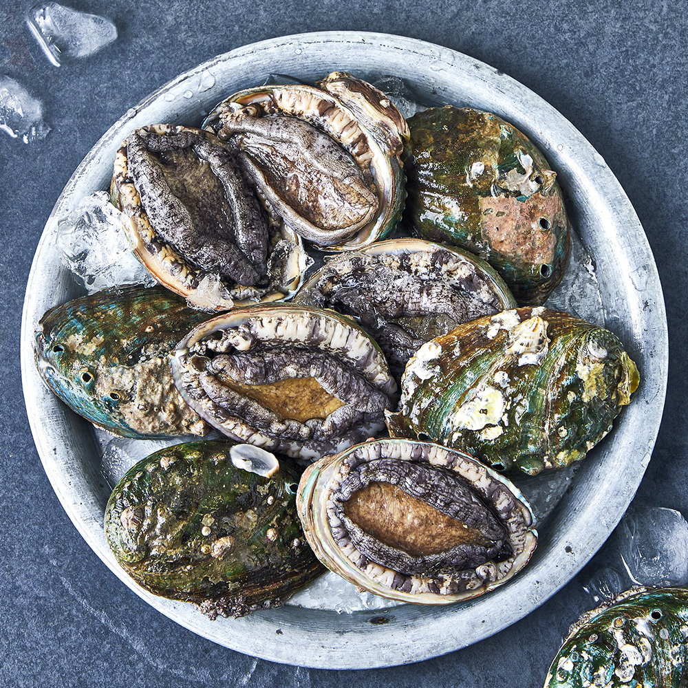 [로켓프레시] 완도맘 활전복 (냉장) 33,650원