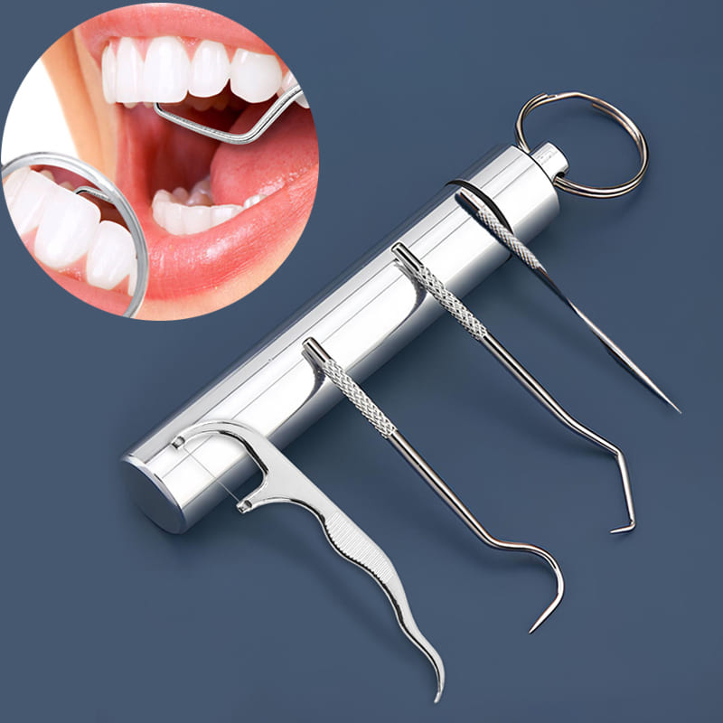 스테인레스 이쑤시개 악어새괭이 휴대용 치간 치솔 치실 스텐 4P1세트, 1세트, 1개 5,890원