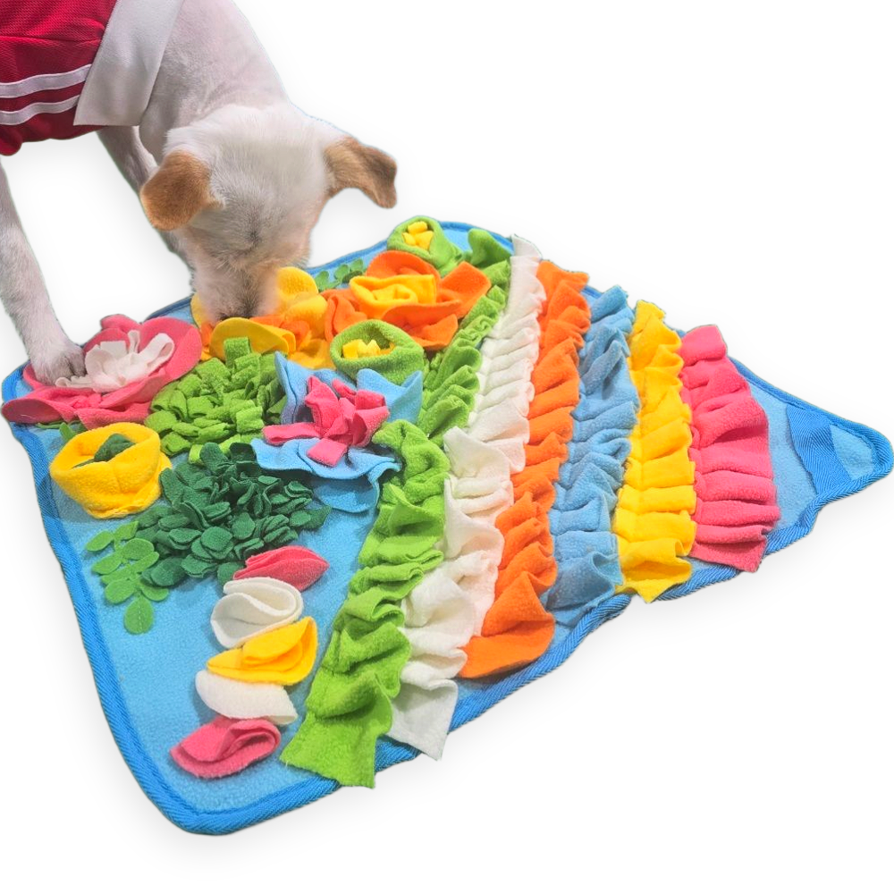 LETOJ 강아지 플라워 노즈워크, 1개, 블루 17,700원