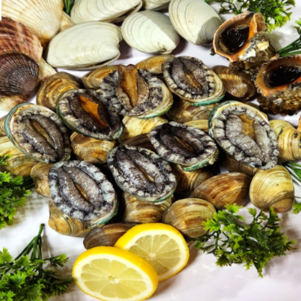 3,1kg 캠핑용 조개모듬세트 활전복7~10마리,왕가리비2~3마리,키조개,백생합,돌조개,참소라,6가지 조개를 한번에, 1개, 고급형 모듬세트 38,500원