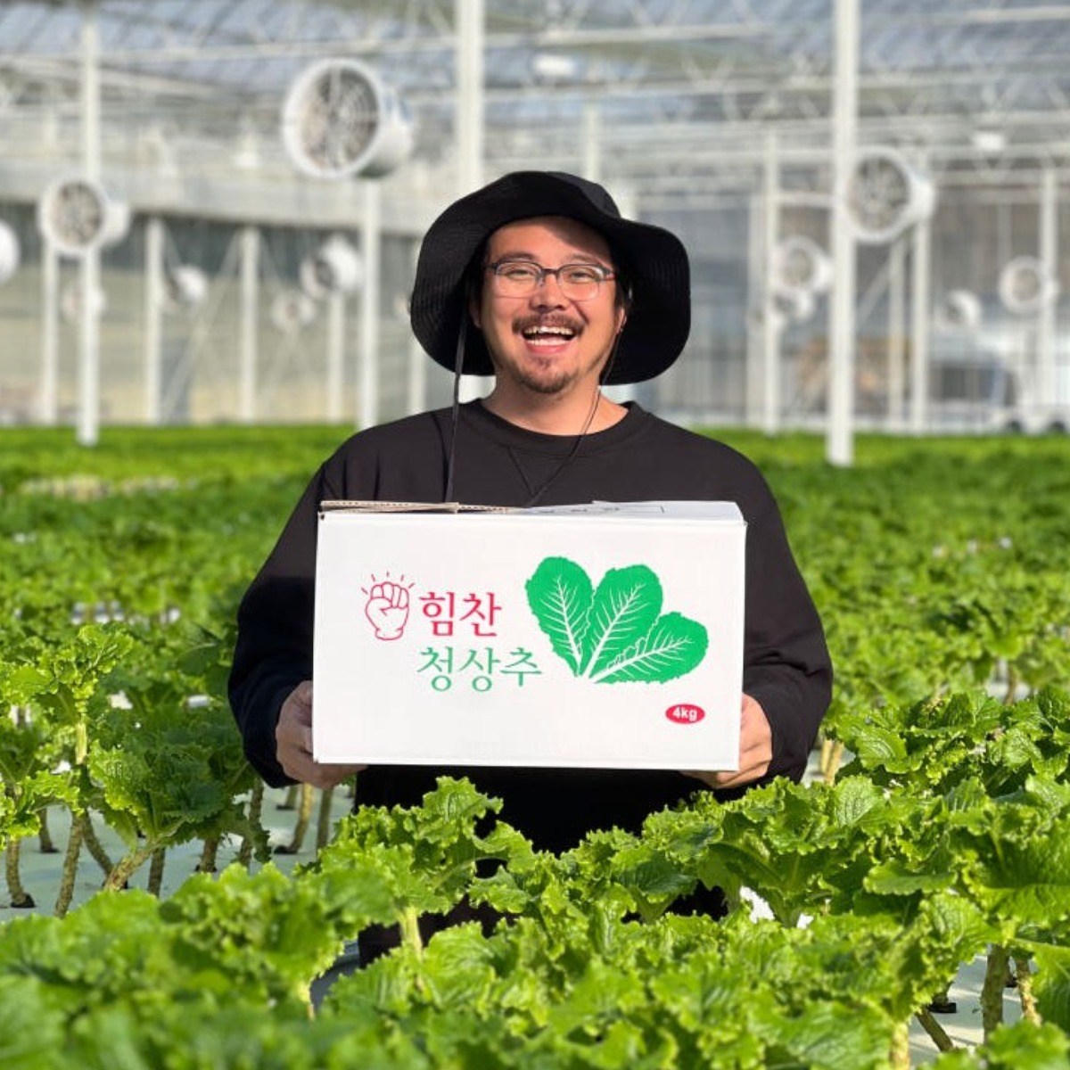 [농가직영] 당일수확 가락시장 1등 국내산 청상추 로메인 상추, 4kg, 1개 13,850원