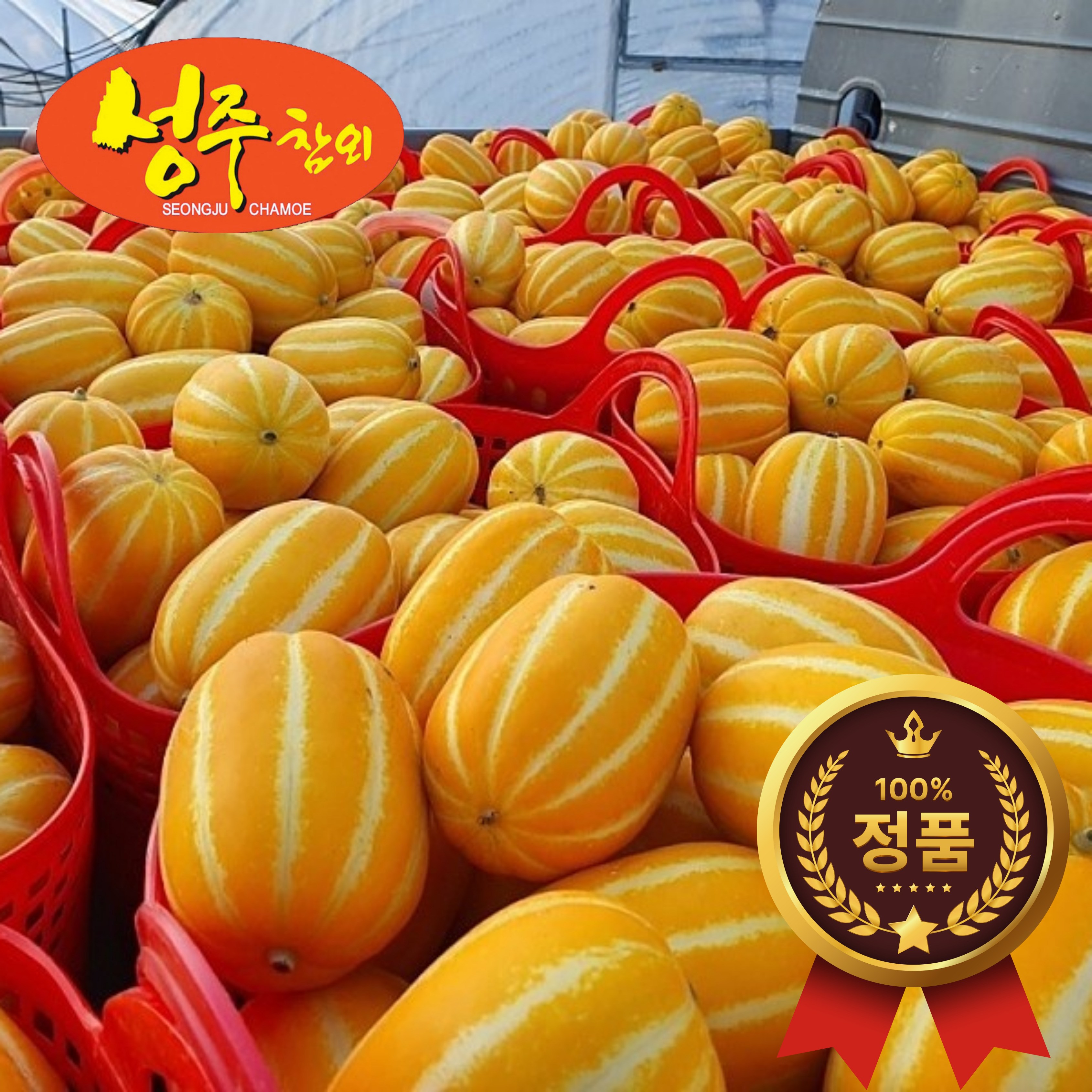 산지직송 성주 꿀 참외 못난이 제철 과일 직거래  2kg 5kg 꼬마 소과 중대과 가정용 선물세트 선물용 15,600원