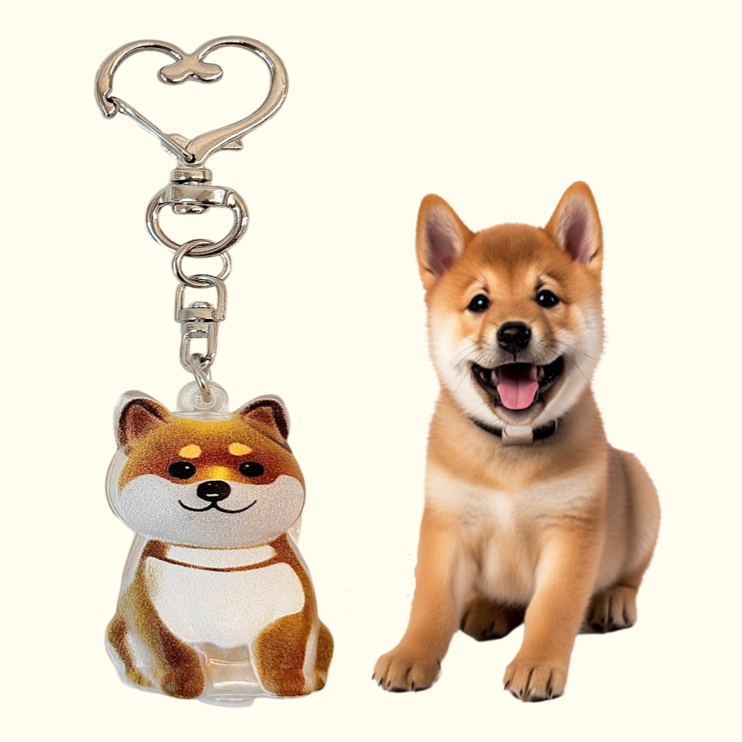 강아지 고양이 털 키링 보관 선물 캡슐 메모리얼 펫로스 반려동물 6,200원